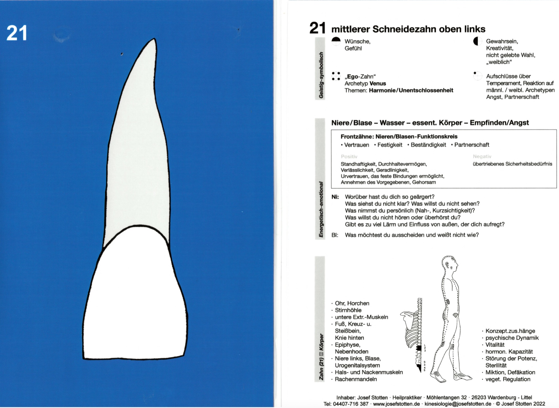 Zahn Nr 21