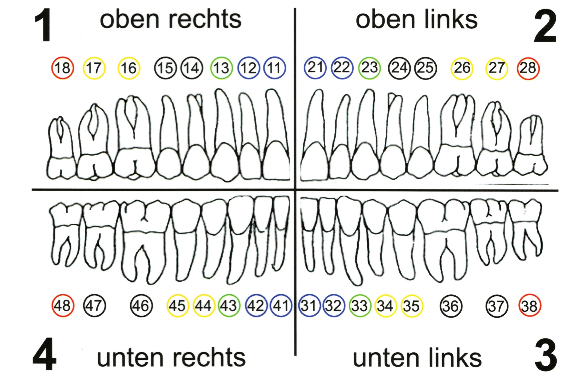 Zähne Übersichtskarte